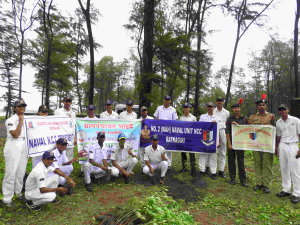 NCC Tree Plantation
